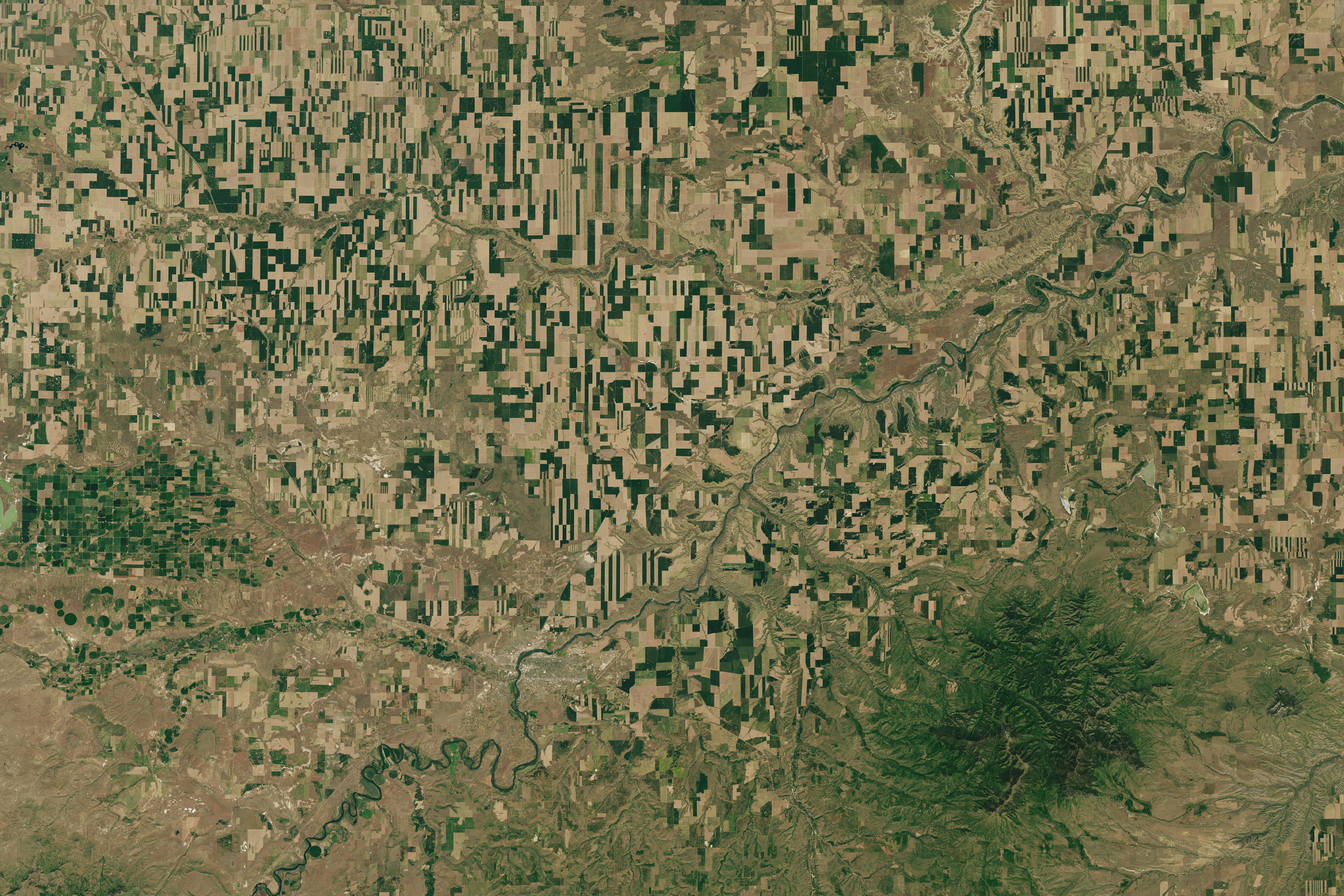 Vast golden wheat fields stretching to the horizon in America's Great Plains
