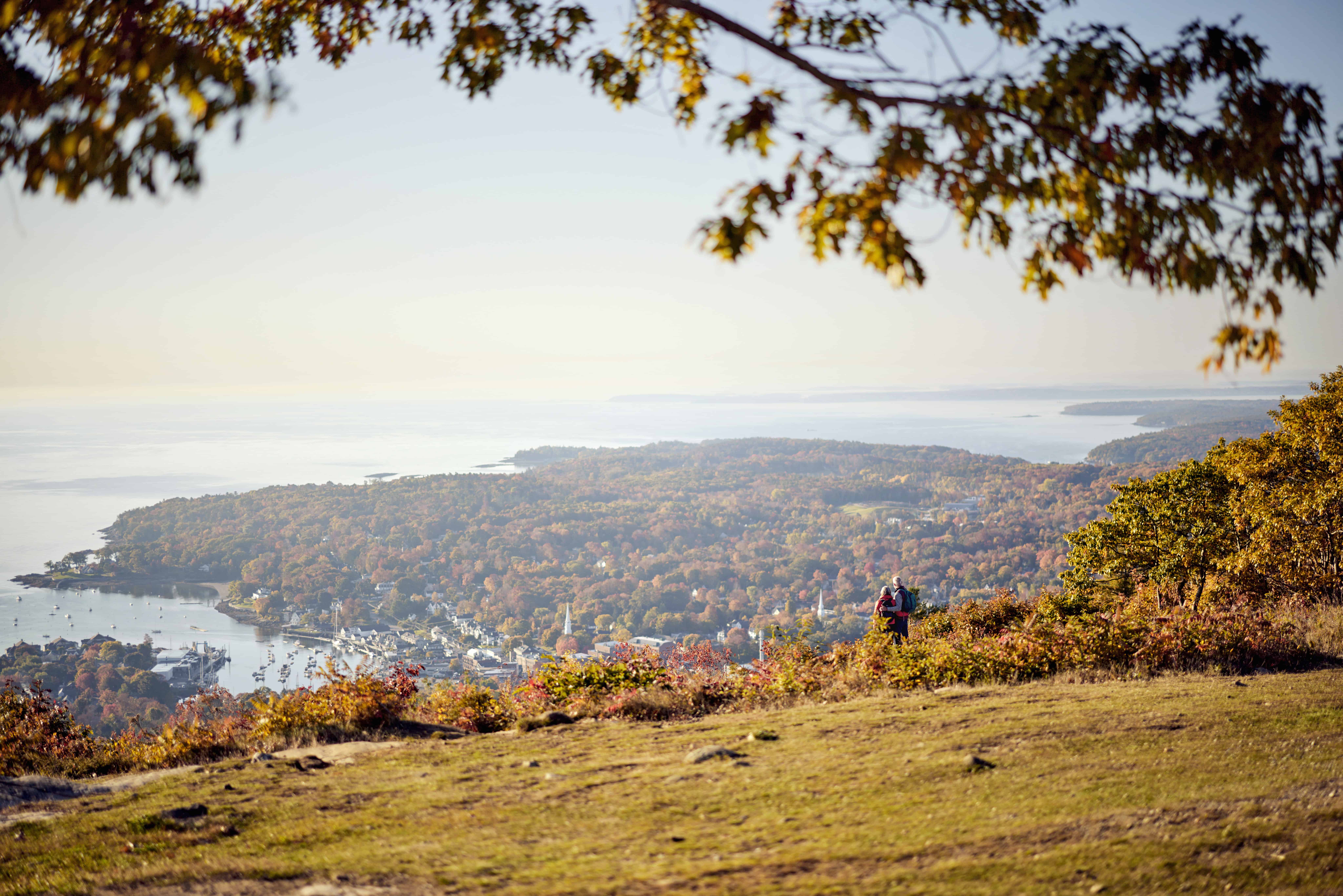 Scenic Maine coastline with pine trees and rocky shores