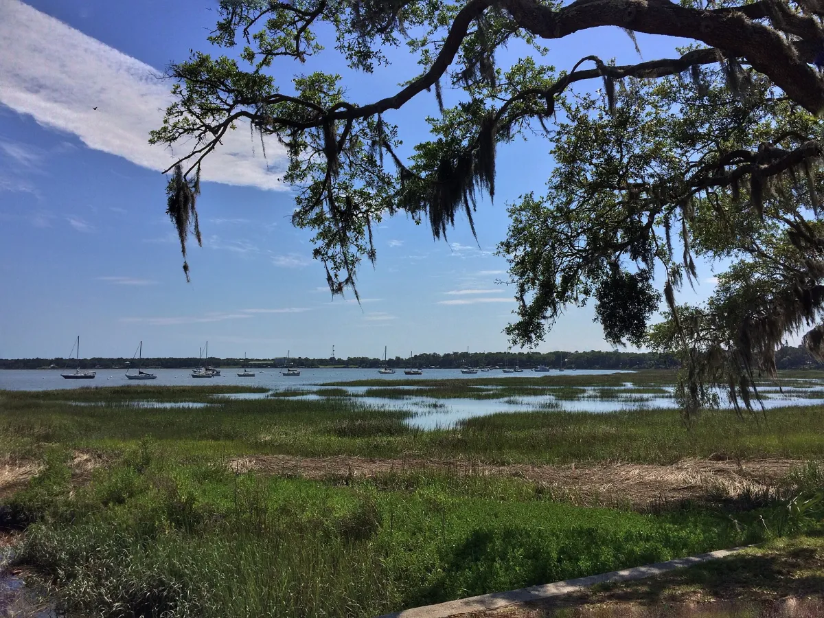 Live oaks and salt marsh along Bay Street in Beaufort, South Carolina