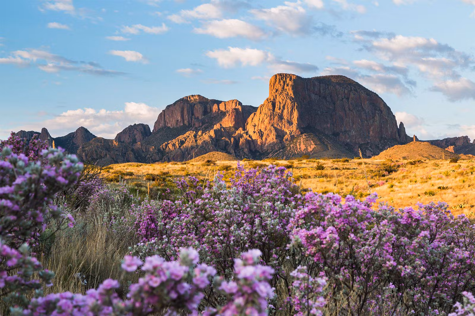 Big Bend National Park in full spring flow