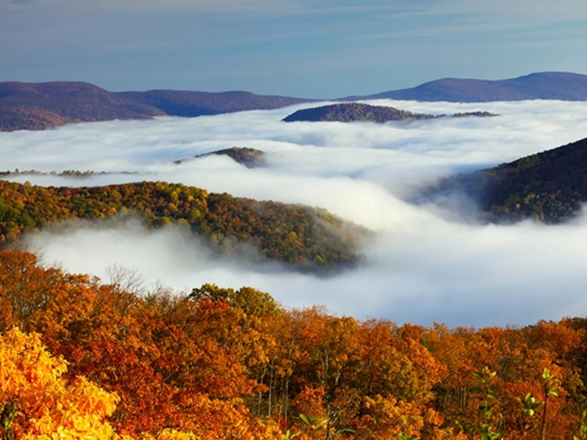 Autumn colors and valley fog seen from Skyline Drive, Shenandoah National Park