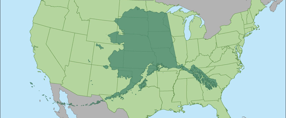 Map showing Alaska's outline overlaid across the continental United States demonstrating its massive size