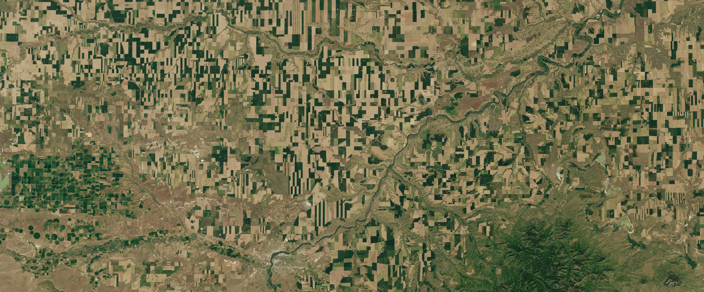 Vast golden wheat fields stretching to the horizon in America's Great Plains