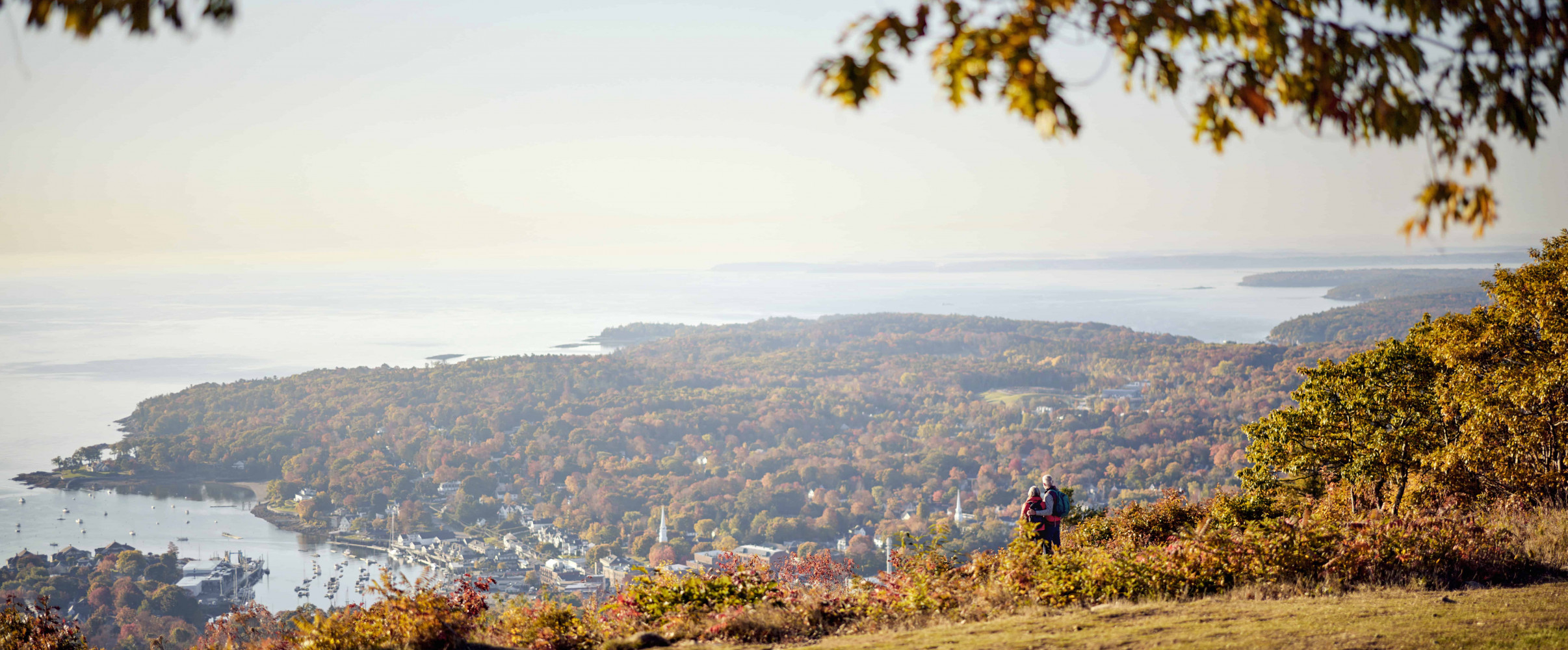 Scenic Maine coastline with pine trees and rocky shores