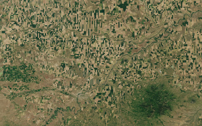 Vast golden wheat fields stretching to the horizon in America's Great Plains