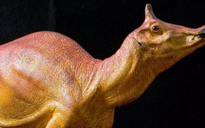 Artist's rendering of Augustynolophus morrisi, California's official state dinosaur