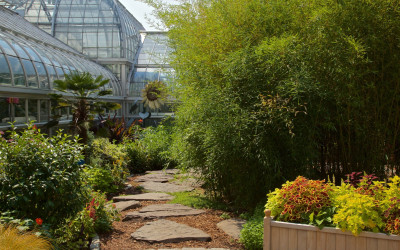Aerial view of expansive botanical garden with colorful flower beds and winding pathways