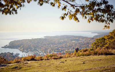 Scenic Maine coastline with pine trees and rocky shores