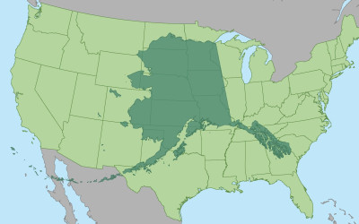 Map showing Alaska's outline overlaid across the continental United States demonstrating its massive size
