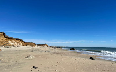 Scenic Martha's Vineyard coastline with colorful cottages along beach at sunset