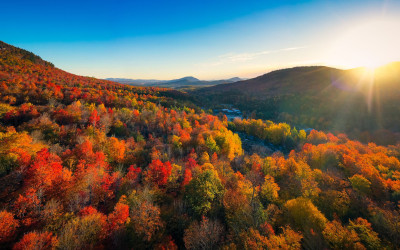 Vibrant red and orange autumn leaves along a country road in Vermont