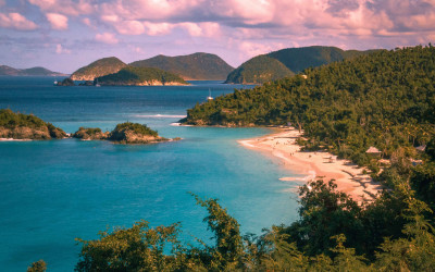 Pristine turquoise beach with palm trees in the US Virgin Islands