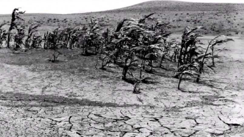 Abandoned farm with eroded soil and failed crops during the Dust Bowl
