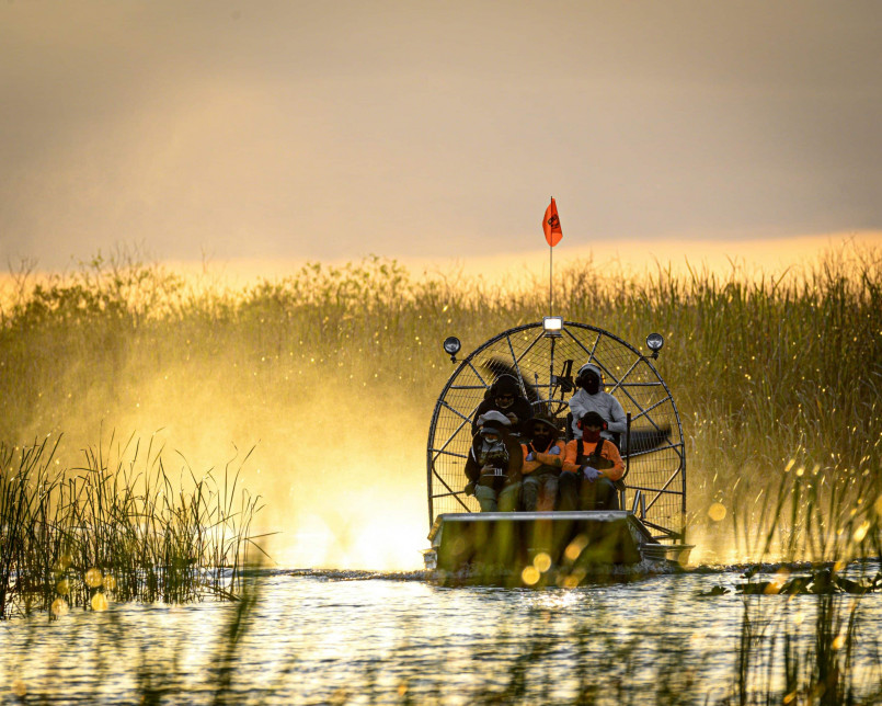Airboat traversing the vast sawgrass prairie of the Everglades with cypress trees in the distance