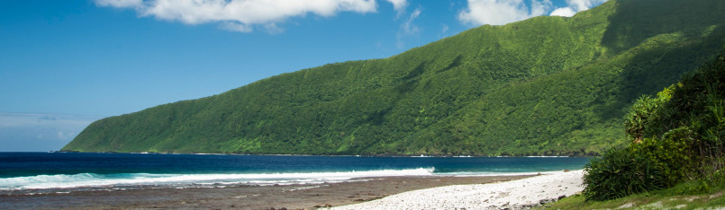 Lush green rainforest coastline at American Samoa National Park