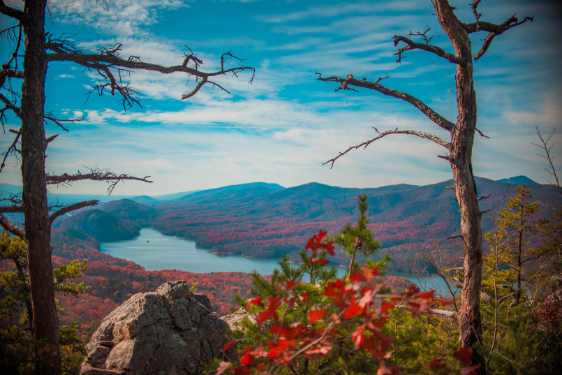 appalachian trail scenic view 15 Most Epic Hiking Trails in America That Will Take Your Breath Away
