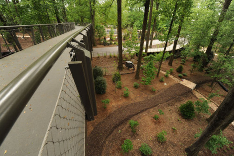 Elevated wooden walkway through forest canopy with visitors