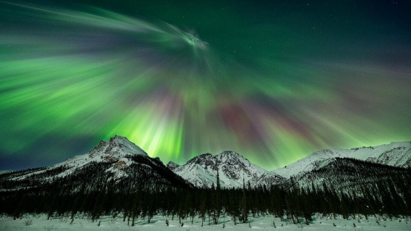 Northern lights over denali mountain alaska Aurora borealis dancing over Mount Denali with stars visible in the night sky
