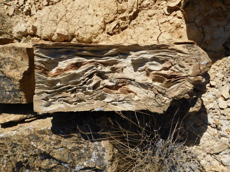 Eroded badlands terrain revealing fossil-bearing rock layers