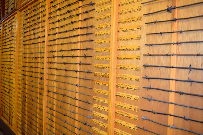 Barbed Wire Museum Kansas Display case showing various historical barbed wire designs at the Barbed Wire Museum
