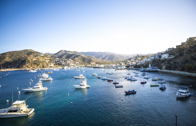 Aerial view of Avalon Bay with crystal blue waters and colorful boats against hillside buildings