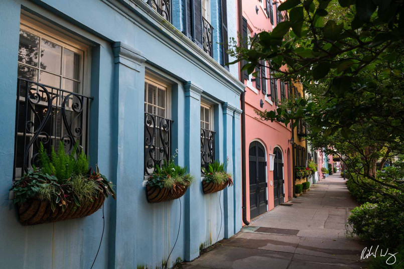 Charleston south carolina rainbow row houses Colorful historic homes along Rainbow Row in Charleston with palm trees