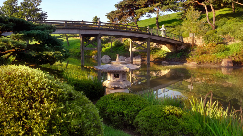 Japanese garden with island, wooden bridge, and lake reflections