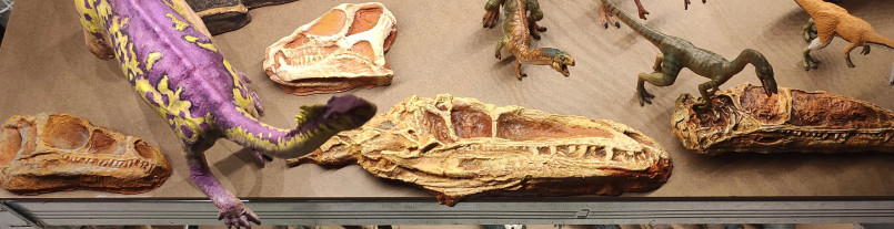 Complete skeleton of early dinosaur Coelophysis
