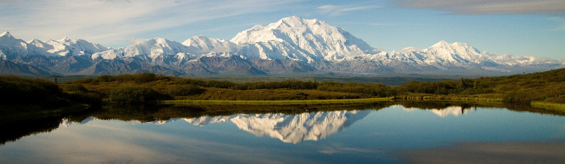 View of Denali (Mount McKinley) with tundra landscape in foreground