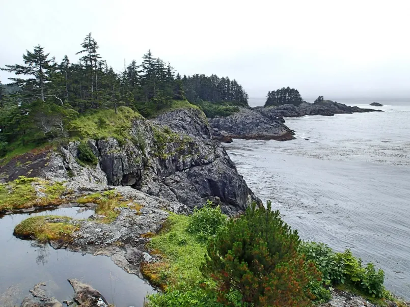 Dense forest meeting rocky coastline on Chichagof Island with mountains in background