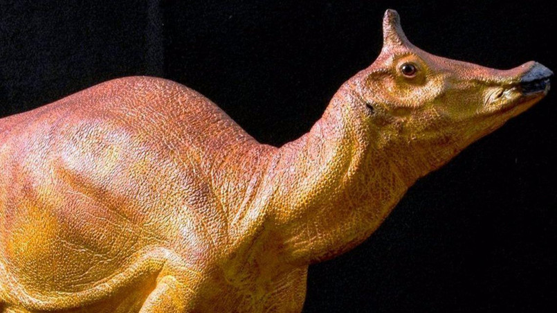 Detailed artistic reconstruction of Augustynolophus morrisi head showing its distinctive crest