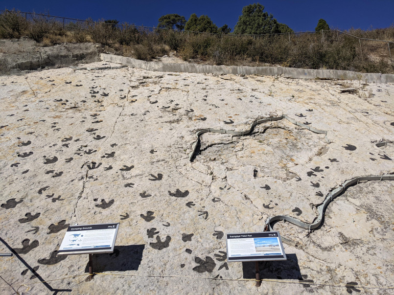 Visitors examining sauropod tracks on tilted rock formation