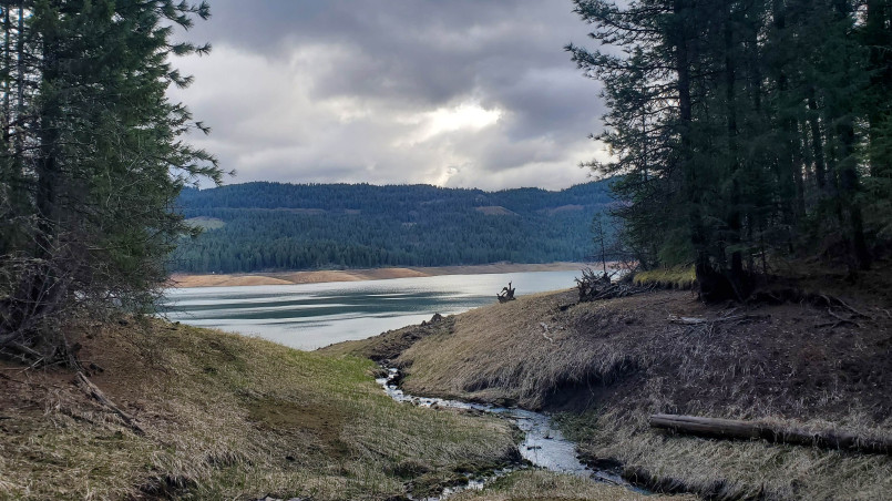 Dworshak Reservoir surrounded by dense evergreen forest with mountain ridges