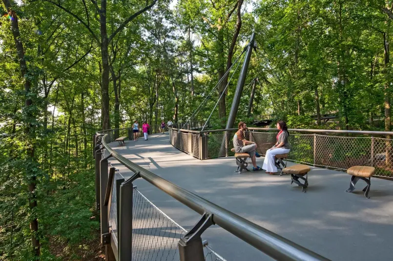 Elevated wooden walkway through forest canopy with visitors