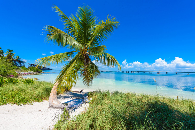 florida sunshine beach palm trees Why Florida Is Called the Sunshine State: History, Facts & Surprises