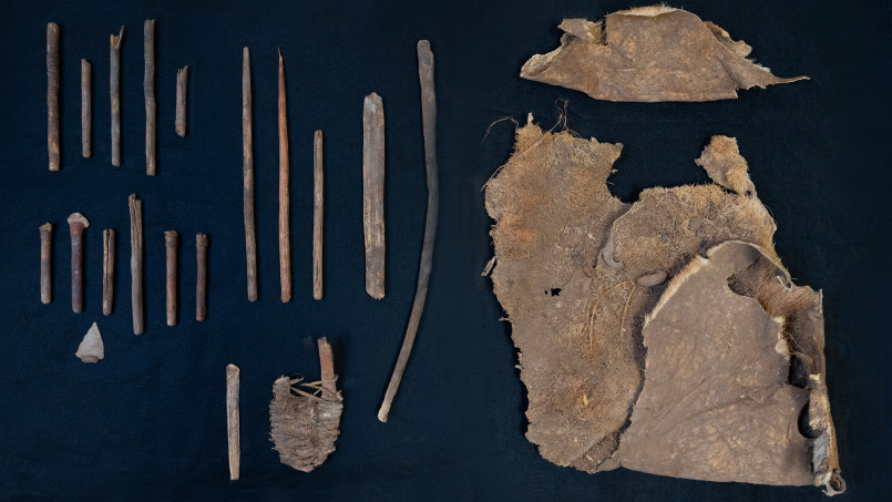 Rock hammer, brush, and collection bag for fossil hunting