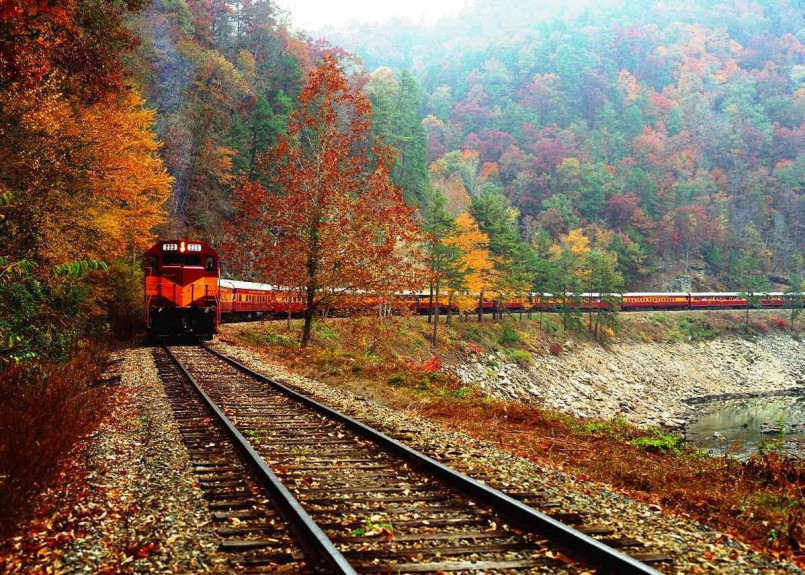 Great Smoky Mountains Railroad train passing through the lush green Nantahala Gorge with river rapids visible below