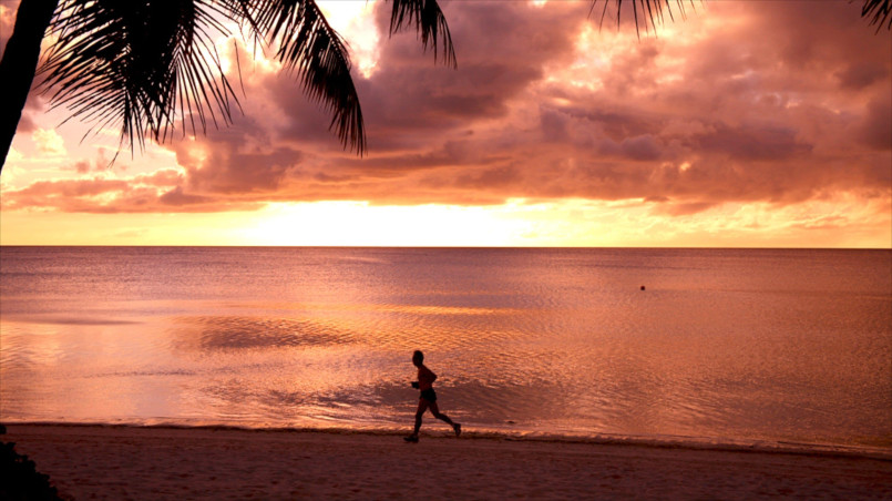 Tropical beach at sunset with palm trees silhouetted against orange sky