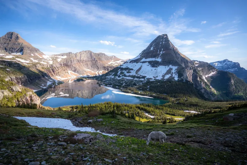 Hidden Lake in Glacier National Park with mountain peaks reflected in crystal clear water