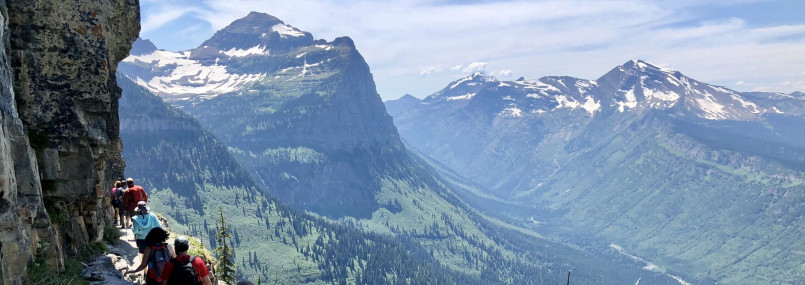 Highline trail glacier national park montana Hiker walking along the Highline Trail with expansive views of Glacier National Park's mountains and valleys