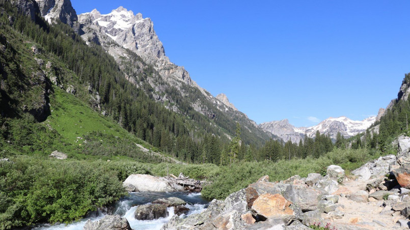 Hikers on Cascade Canyon trail with Grand Teton mountains in background