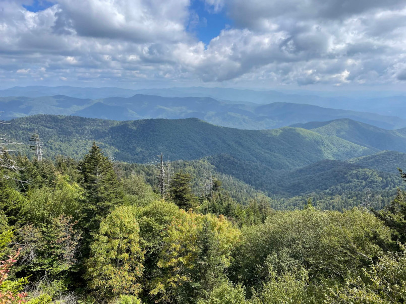 Hikers on misty forest trail in Great Smoky Mountains National Park