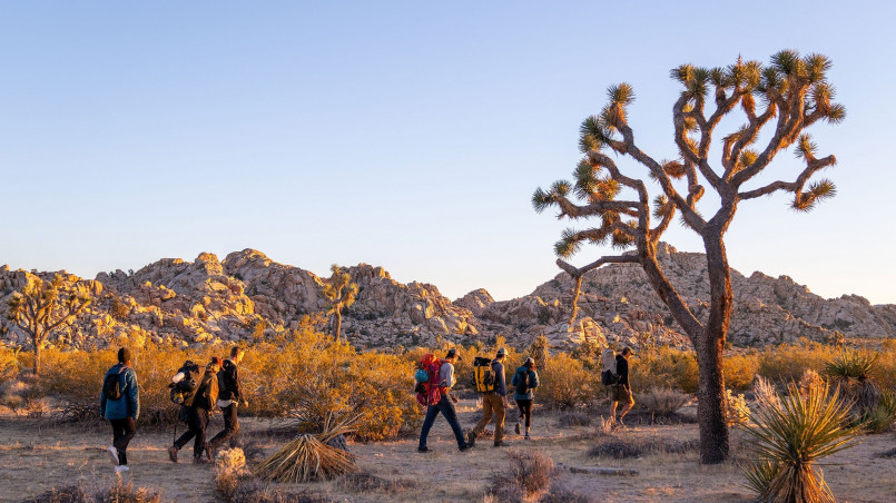 Hikers on trail among boulder formations and Joshua trees in Joshua Tree National Park