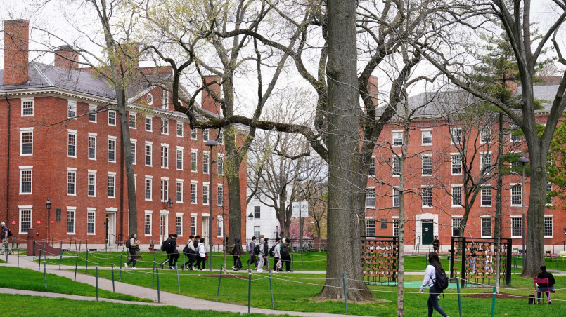 Harvard University historic campus brick buildings ivy league Massachusetts Historic red brick buildings and tree-lined paths on Harvard University campus in Cambridge, Massachusetts