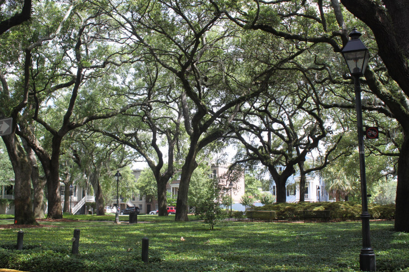 Historic Savannah square with moss-draped oak trees and Georgian mansions