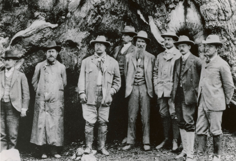 John Muir standing among giant sequoia trees in Yosemite