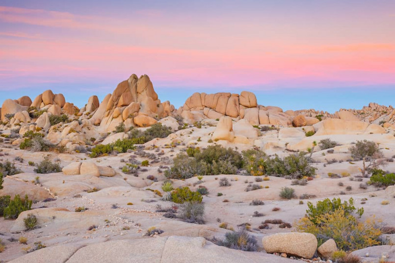 Joshua trees silhouetted against sunset with dramatic rock formations