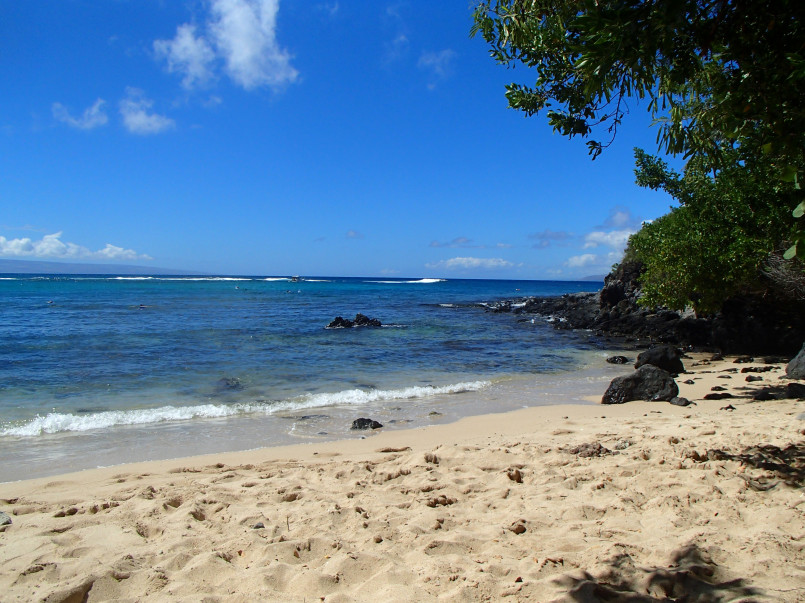 Crescent-shaped Kapalua Bay Beach with clear turquoise water and palm trees