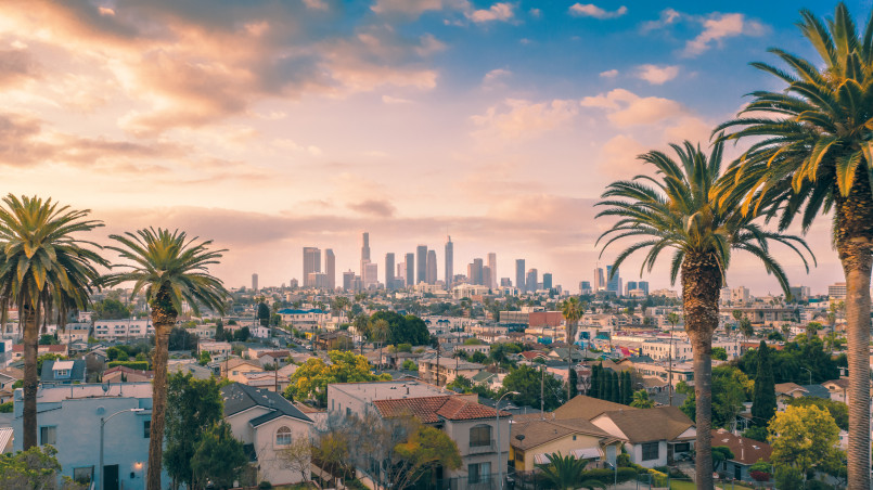 Los Angeles skyline with palm trees Los Angeles downtown skyline with palm trees and mountains in background