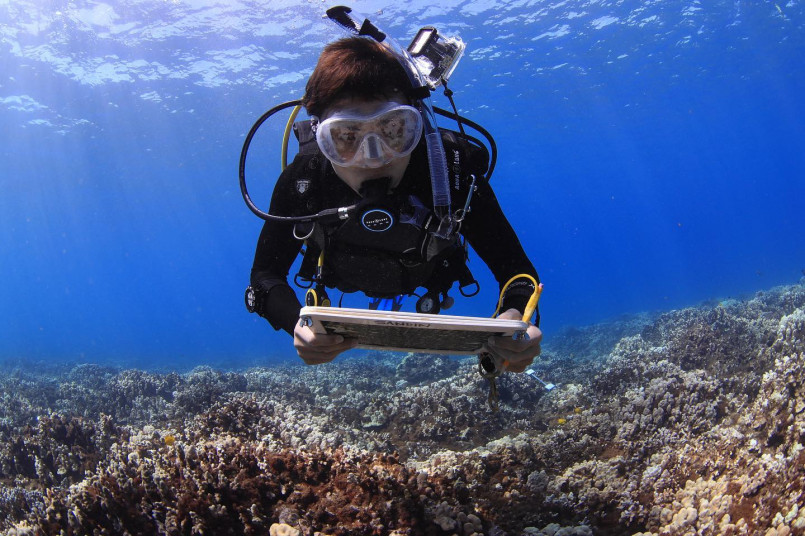 Marine biologists monitoring coral reef health off the coast of Hawaii